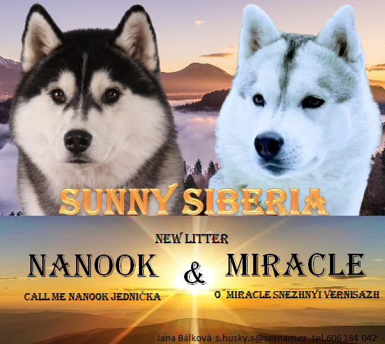 nanook a miracle~3