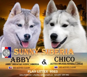 abby---chico.jpg